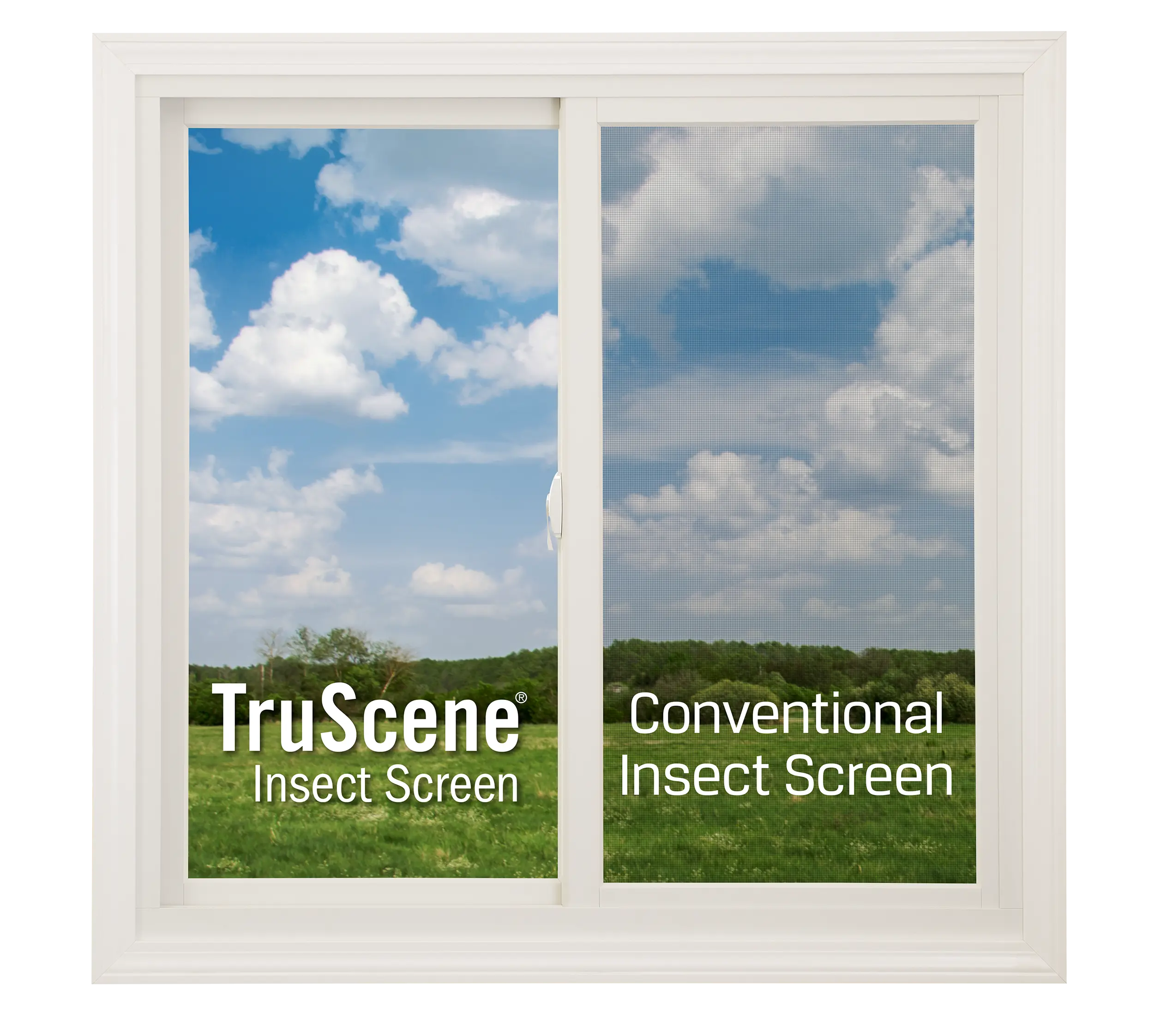 Window showing difference between Truscene and conventional insect screen