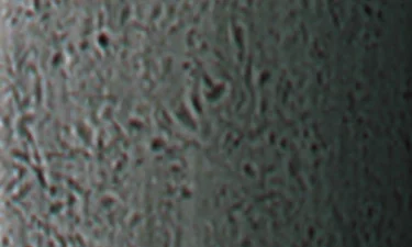 DistressedNickel_Replacement_Doors_Customization_HardwareColor